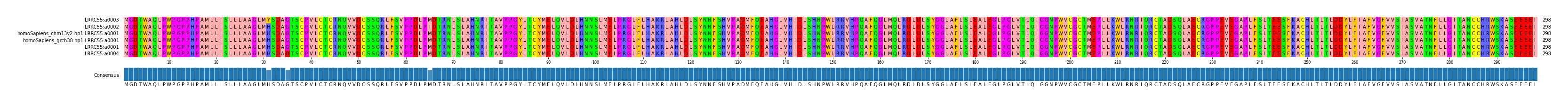 Multiple Alignments (by translate haplotype similarity)