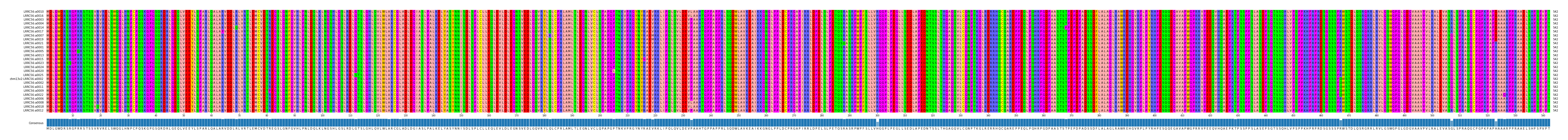 Multiple Alignments (by translate haplotype similarity)