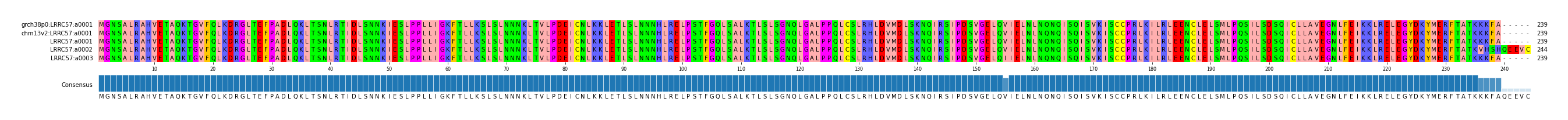Multiple Alignments (by translate haplotype frequency)