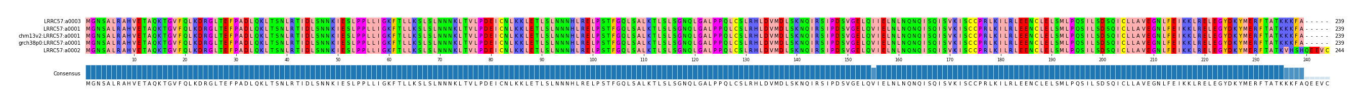 Multiple Alignments (by translate haplotype similarity)