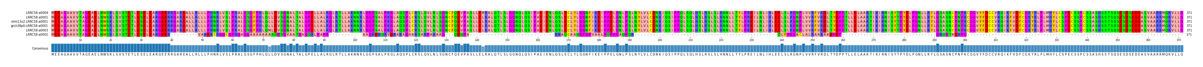 Multiple Alignments (by translate haplotype similarity)