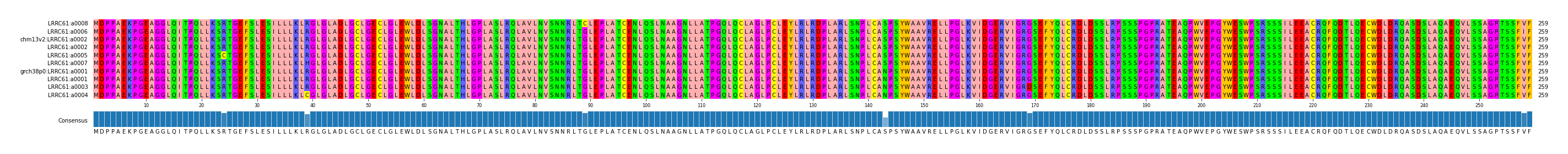 Multiple Alignments (by translate haplotype similarity)