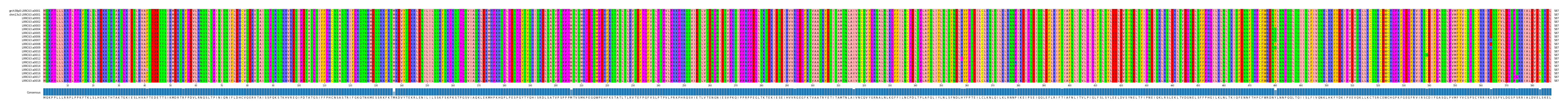 Multiple Alignments (by translate haplotype frequency)