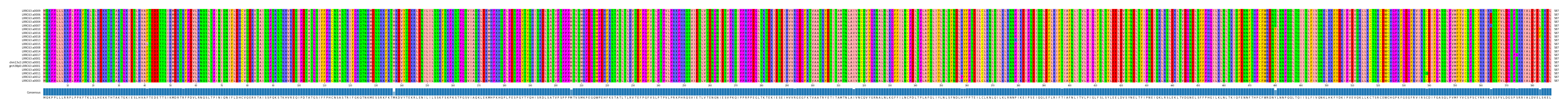 Multiple Alignments (by translate haplotype similarity)