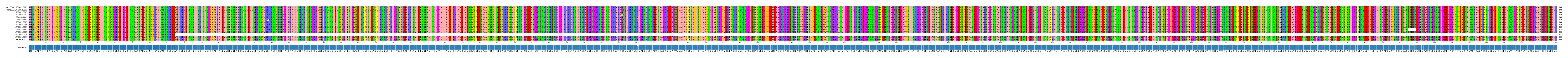 Multiple Alignments (by translate haplotype frequency)