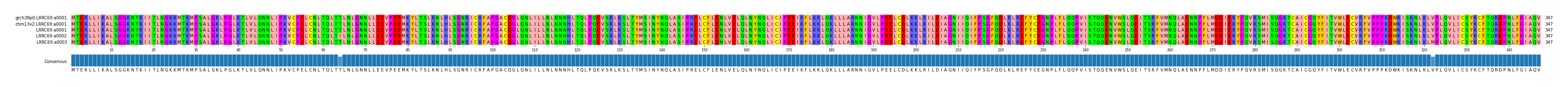 Multiple Alignments (by translate haplotype frequency)