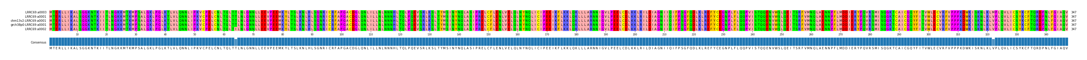 Multiple Alignments (by translate haplotype similarity)