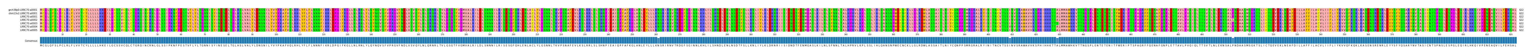 Multiple Alignments (by translate haplotype frequency)
