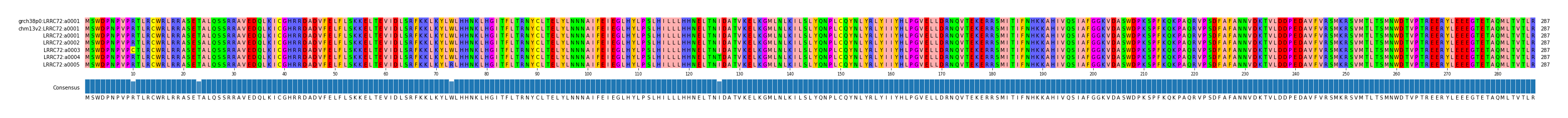 Multiple Alignments (by translate haplotype frequency)