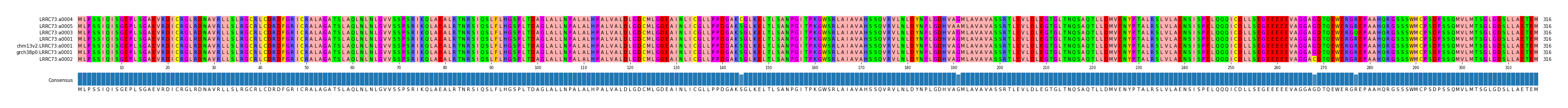 Multiple Alignments (by translate haplotype similarity)