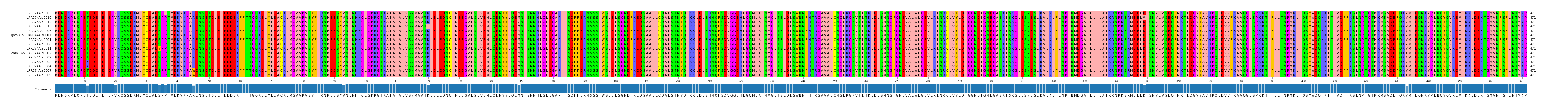 Multiple Alignments (by translate haplotype similarity)