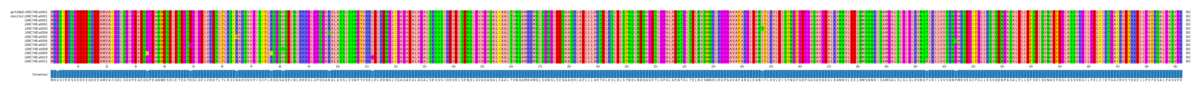Multiple Alignments (by translate haplotype frequency)