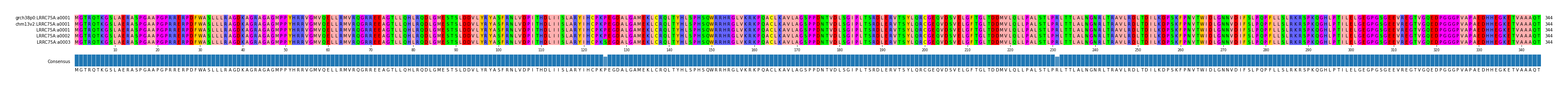 Multiple Alignments (by translate haplotype frequency)