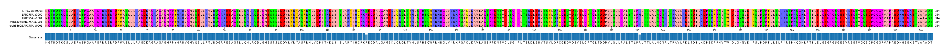 Multiple Alignments (by translate haplotype similarity)