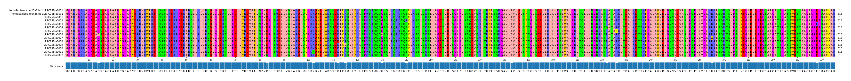Multiple Alignments (by translate haplotype frequency)