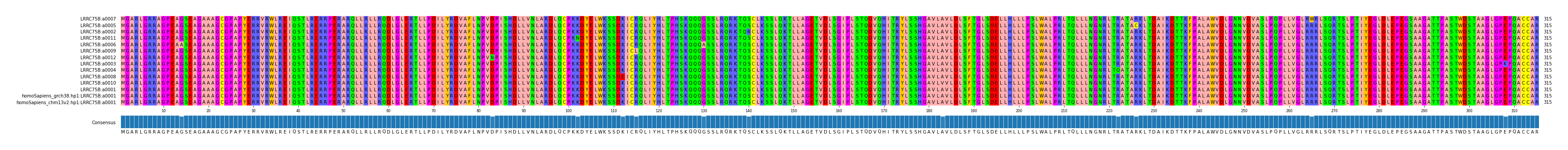 Multiple Alignments (by translate haplotype similarity)