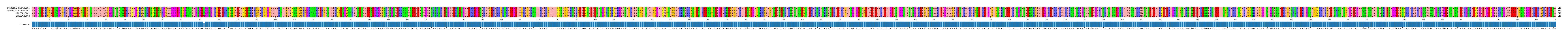 Multiple Alignments (by translate haplotype similarity)