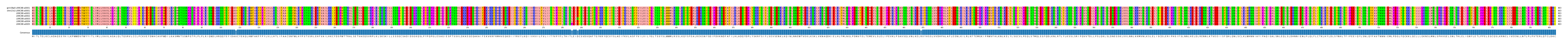 Multiple Alignments (by translate haplotype frequency)
