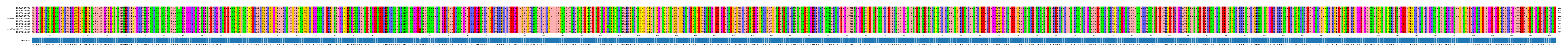 Multiple Alignments (by translate haplotype similarity)