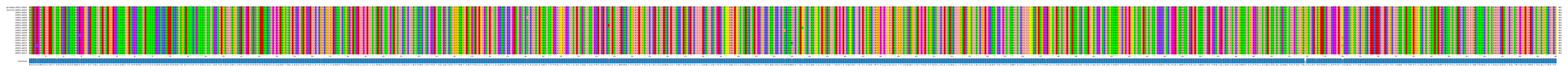 Multiple Alignments (by translate haplotype frequency)