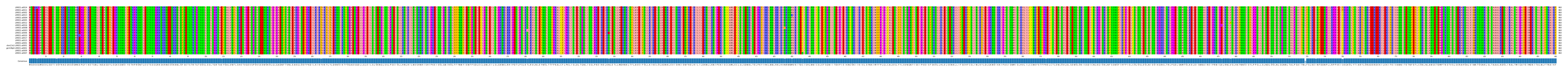 Multiple Alignments (by translate haplotype similarity)