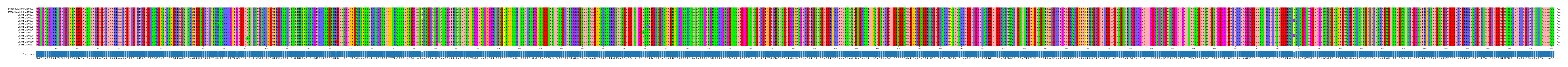 Multiple Alignments (by translate haplotype frequency)