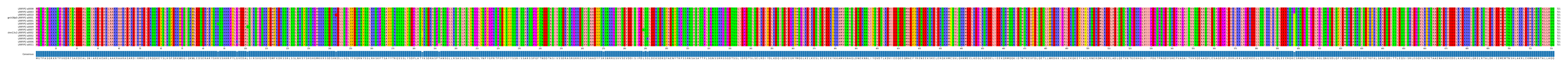 Multiple Alignments (by translate haplotype similarity)
