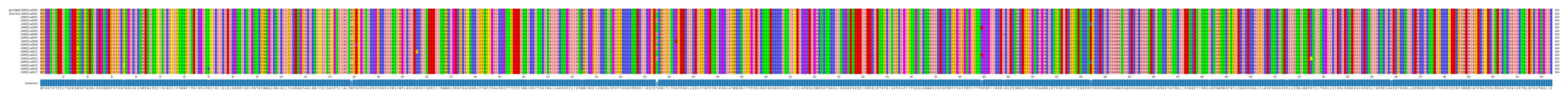 Multiple Alignments (by translate haplotype frequency)