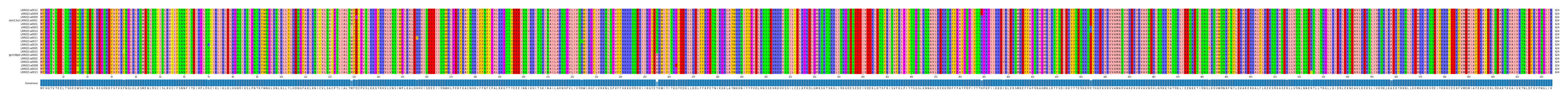 Multiple Alignments (by translate haplotype similarity)