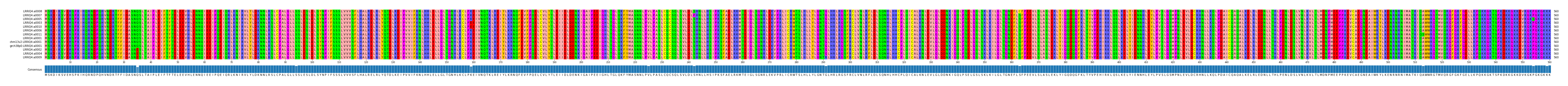 Multiple Alignments (by translate haplotype similarity)