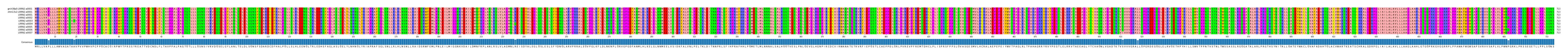 Multiple Alignments (by translate haplotype frequency)