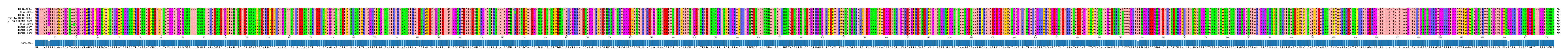 Multiple Alignments (by translate haplotype similarity)
