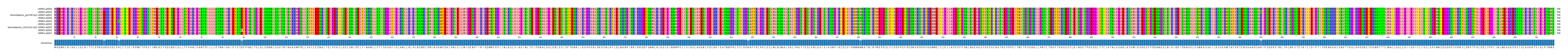 LD (by translate haplotype similarity)