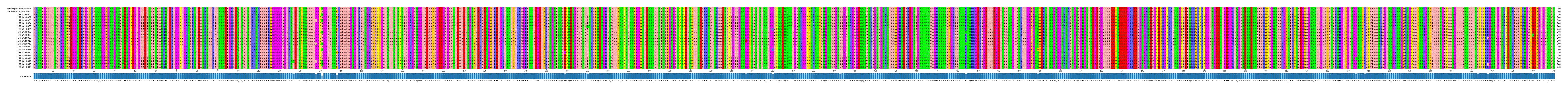 Multiple Alignments (by translate haplotype frequency)