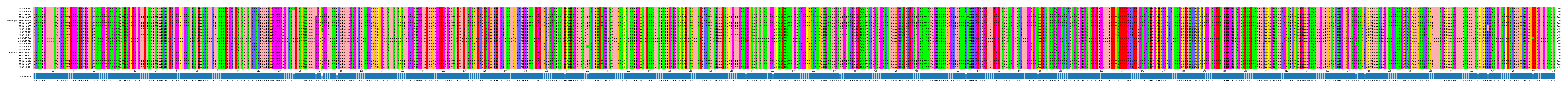 Multiple Alignments (by translate haplotype similarity)