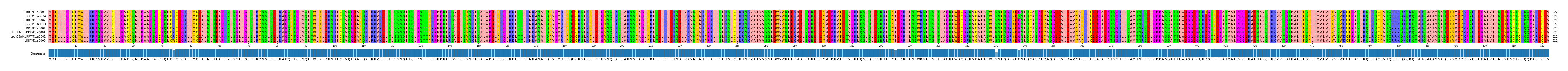Multiple Alignments (by translate haplotype similarity)
