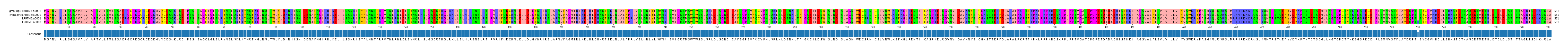 Multiple Alignments (by translate haplotype similarity)