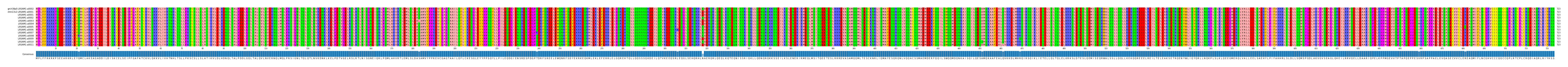 Multiple Alignments (by translate haplotype frequency)