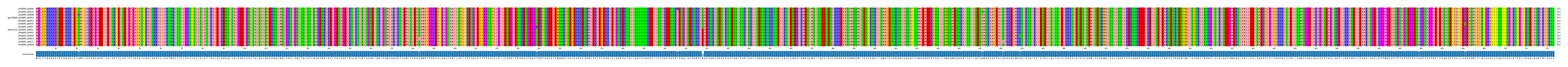 Multiple Alignments (by translate haplotype similarity)