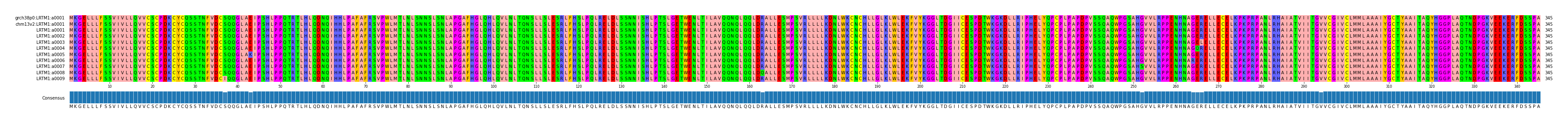 Multiple Alignments (by translate haplotype frequency)
