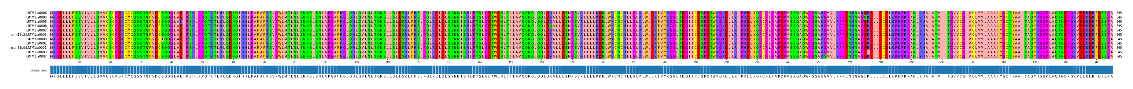 Multiple Alignments (by translate haplotype similarity)