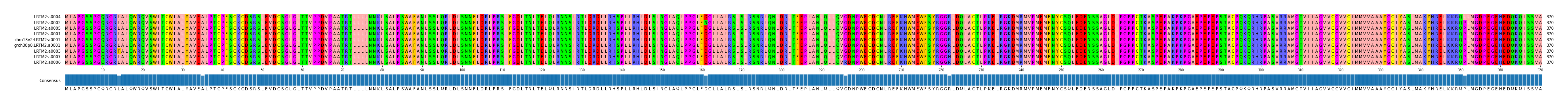 Multiple Alignments (by translate haplotype similarity)