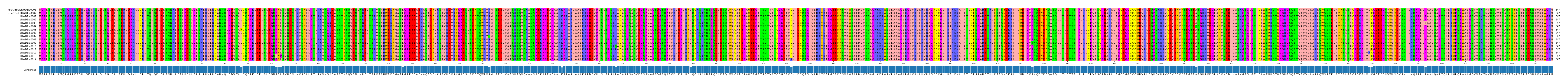 Multiple Alignments (by translate haplotype frequency)