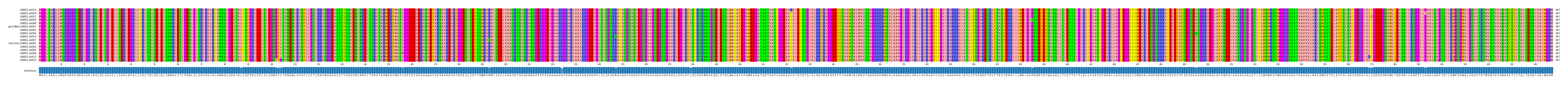 Multiple Alignments (by translate haplotype similarity)