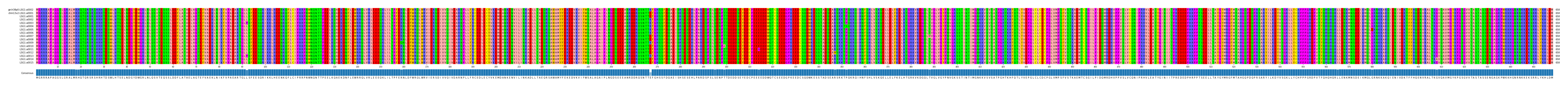 Multiple Alignments (by translate haplotype frequency)
