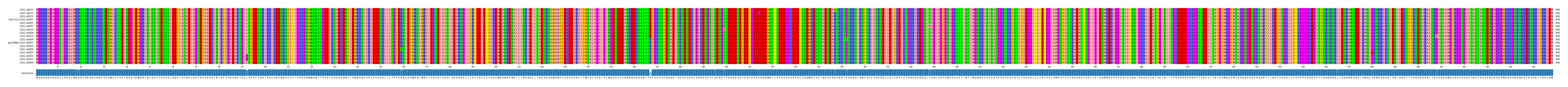 Multiple Alignments (by translate haplotype similarity)