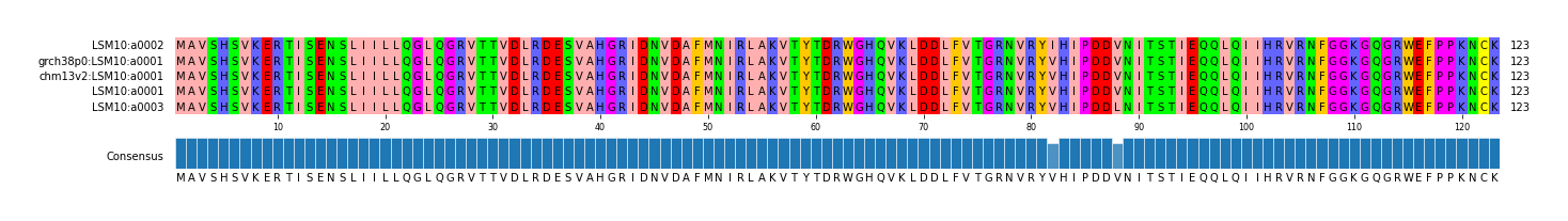 Multiple Alignments (by translate haplotype similarity)