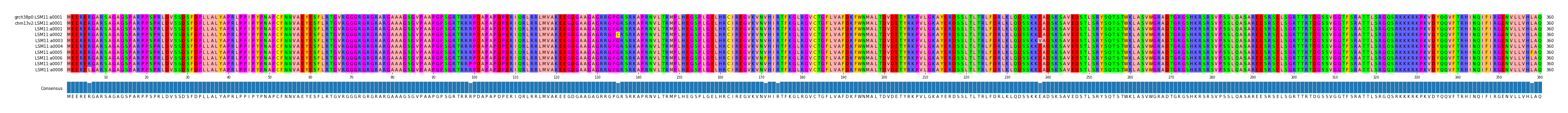 Multiple Alignments (by translate haplotype frequency)