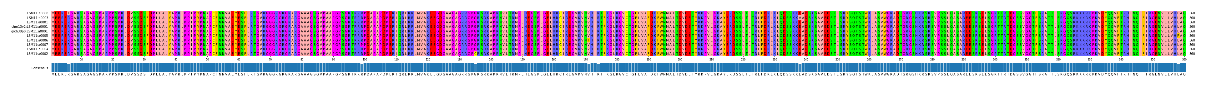 Multiple Alignments (by translate haplotype similarity)