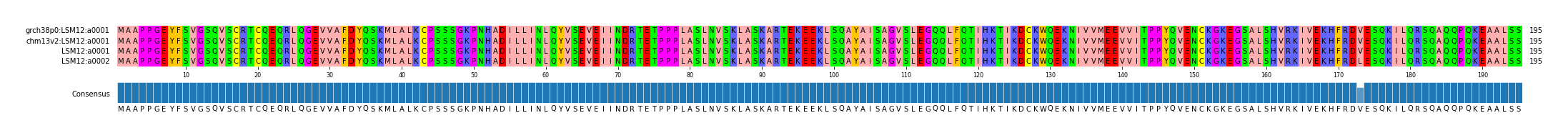 Multiple Alignments (by translate haplotype similarity)